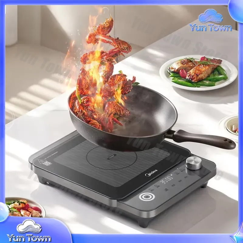 Induction Cooker for Home Use  - Induction Cooktop Portable recension och pris