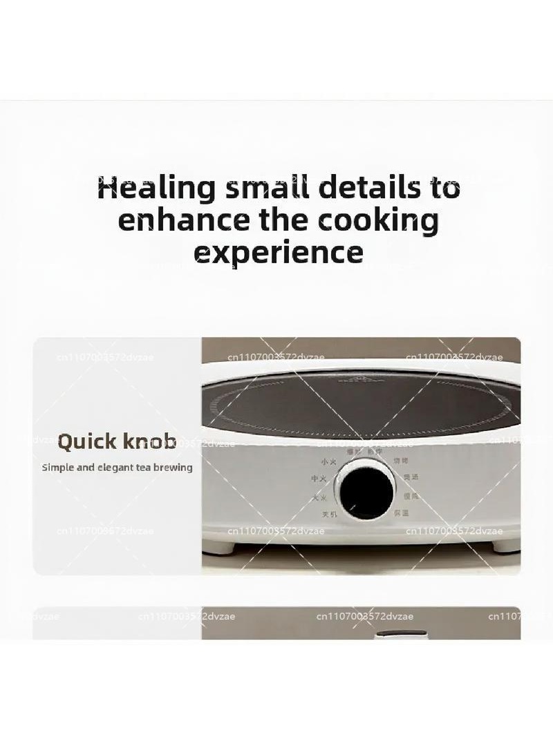 Electric Ceramic Stove Smart I - Induction Cooktop Portable recension och pris