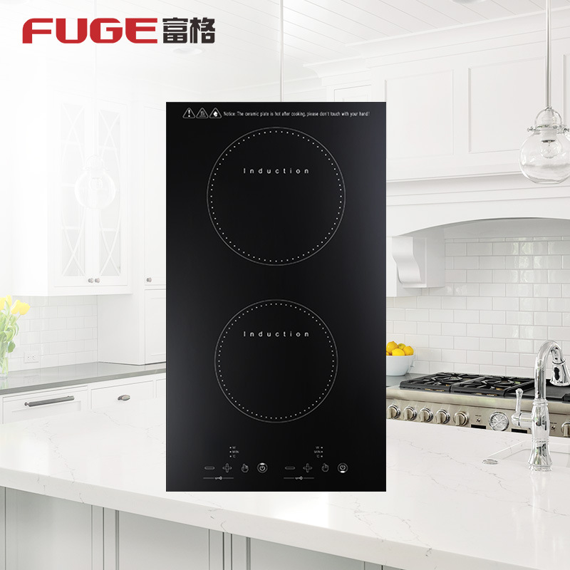 AOLIVIYA High Power Double Bur - Induction Cooktop Portable recension och pris